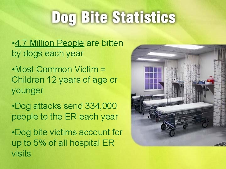  • 4. 7 Million People are bitten by dogs each year • Most