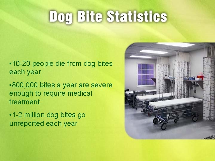  • 10 -20 people die from dog bites each year • 800, 000