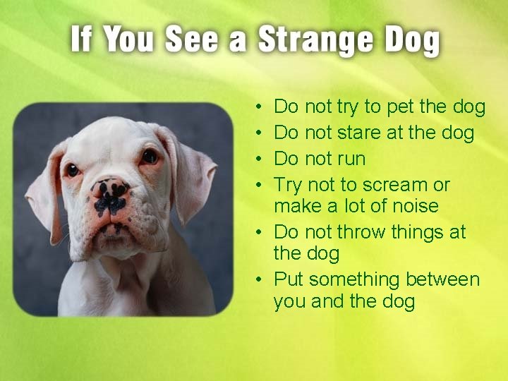  • • Do not try to pet the dog Do not stare at