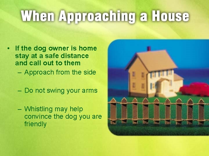  • If the dog owner is home stay at a safe distance and