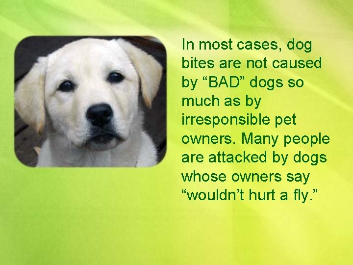 In most cases, dog bites are not caused by “BAD” dogs so much as