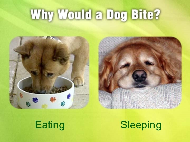 Eating Sleeping 