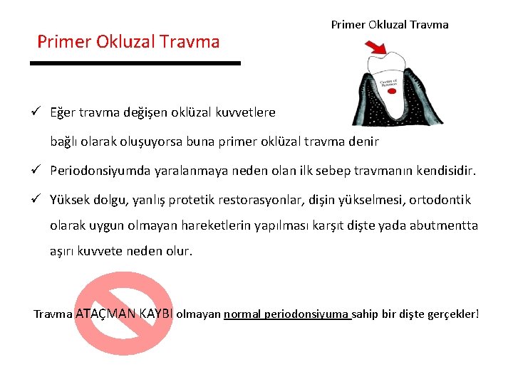 Primer Okluzal Travma ü Eğer travma değişen oklüzal kuvvetlere bağlı olarak oluşuyorsa buna primer