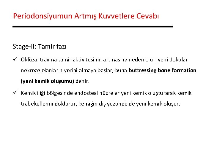 Periodonsiyumun Artmış Kuvvetlere Cevabı Stage-II: Tamir fazı ü Oklüzal travma tamir aktivitesinin artmasına neden