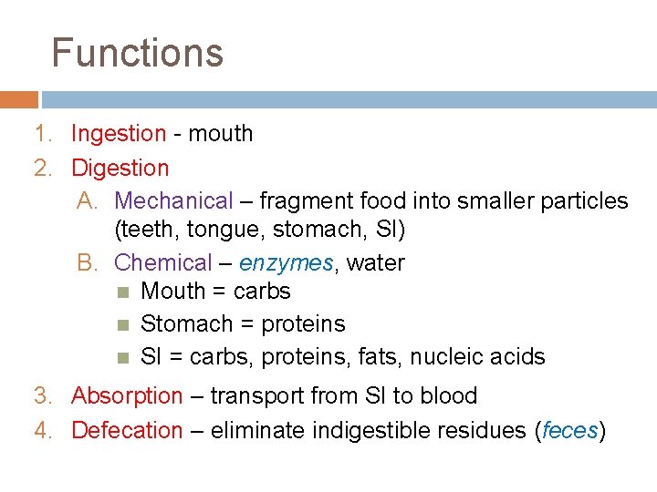 Functions 1. Ingestion - mouth 2. Digestion A. Mechanical – fragment food into smaller