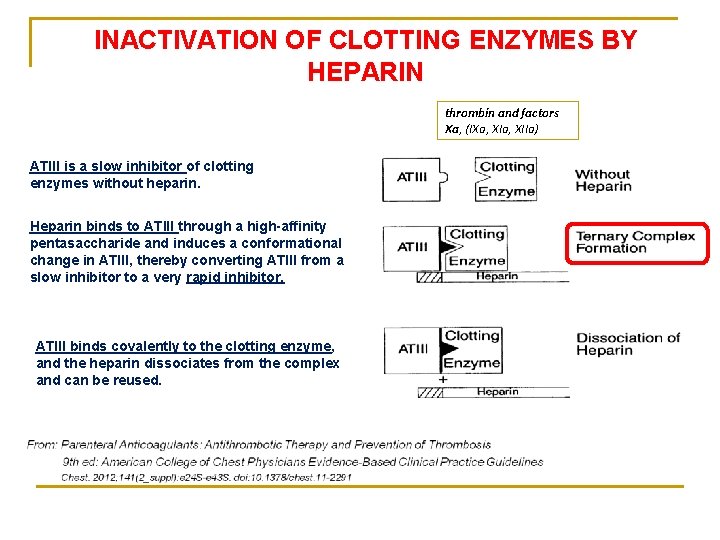 INACTIVATION OF CLOTTING ENZYMES BY HEPARIN thrombin and factors Xa, (IXa, XIIa) ATIII is