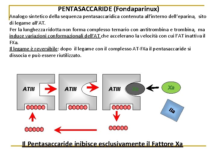 PENTASACCARIDE (Fondaparinux) Analogo sintetico della sequenza pentasaccaridica contenuta all’interno dell’eparina, sito di legame all’AT.