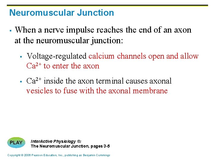 Neuromuscular Junction § When a nerve impulse reaches the end of an axon at