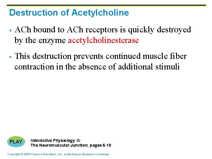 Destruction of Acetylcholine § § ACh bound to ACh receptors is quickly destroyed by