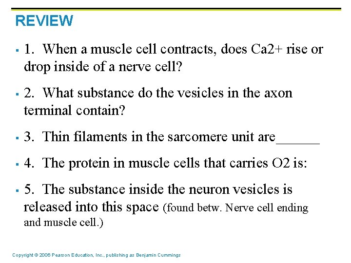 REVIEW § § 1. When a muscle cell contracts, does Ca 2+ rise or