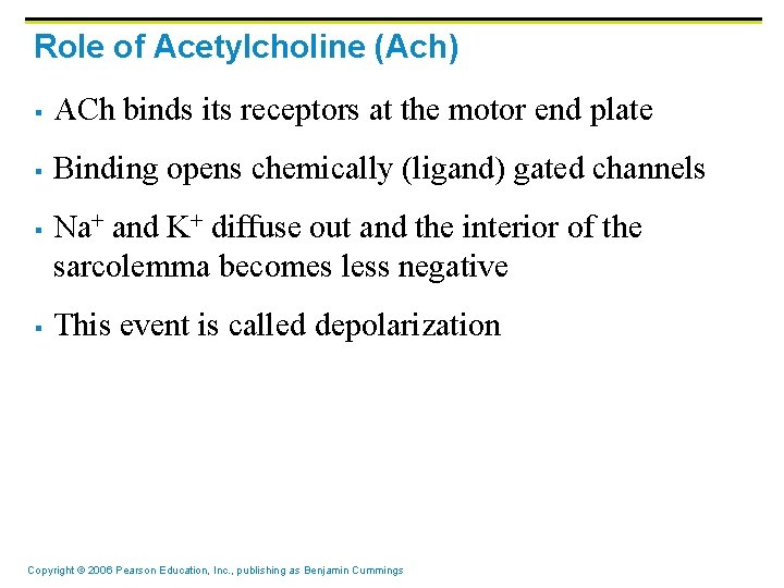Role of Acetylcholine (Ach) § ACh binds its receptors at the motor end plate