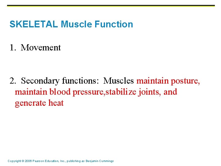 SKELETAL Muscle Function 1. Movement 2. Secondary functions: Muscles maintain posture, maintain blood pressure,