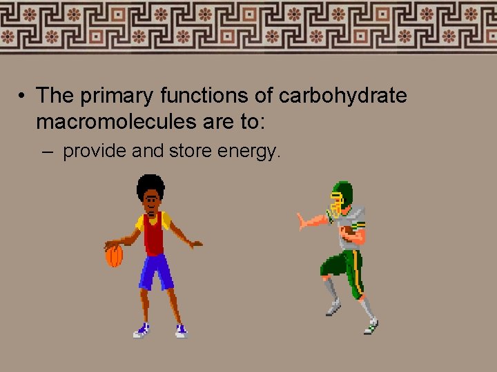  • The primary functions of carbohydrate macromolecules are to: – provide and store