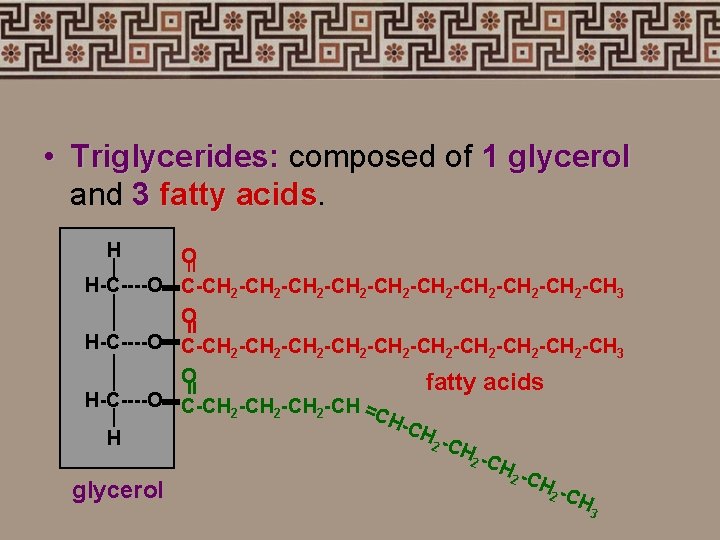  • Triglycerides: composed of 1 glycerol and 3 fatty acids H = O