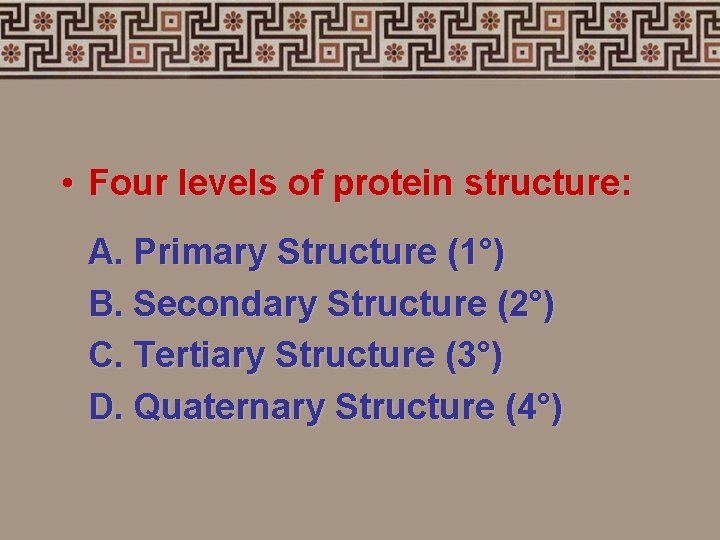  • Four levels of protein structure: A. Primary Structure (1°) B. Secondary Structure