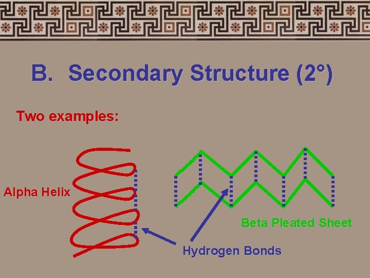 B. Secondary Structure (2°) Two examples: Alpha Helix Beta Pleated Sheet Hydrogen Bonds 