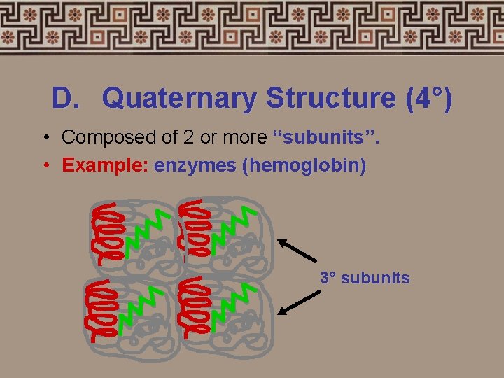 D. Quaternary Structure (4°) • Composed of 2 or more “subunits”. • Example: enzymes