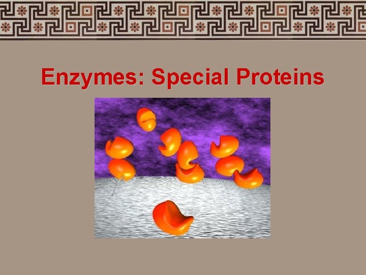 Enzymes: Special Proteins 