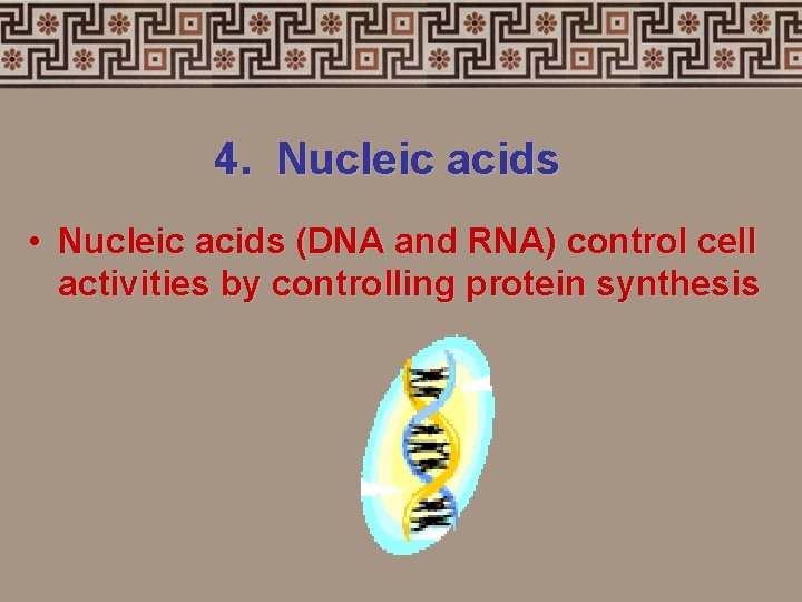 4. Nucleic acids • Nucleic acids (DNA and RNA) control cell activities by controlling