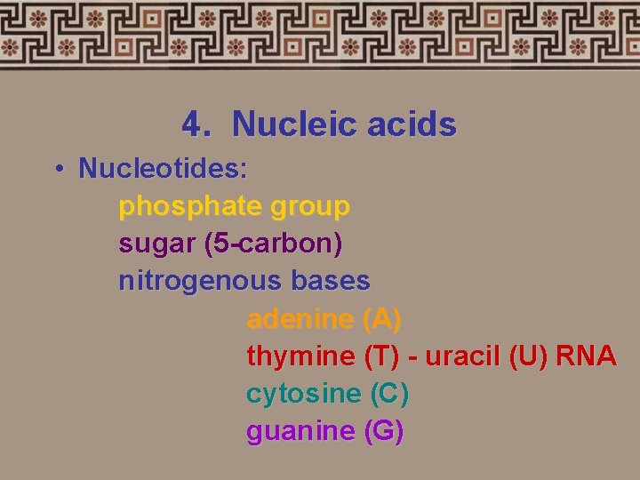 4. Nucleic acids • Nucleotides: phosphate group sugar (5 -carbon) nitrogenous bases adenine (A)