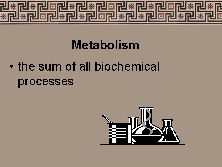Metabolism • the sum of all biochemical processes 