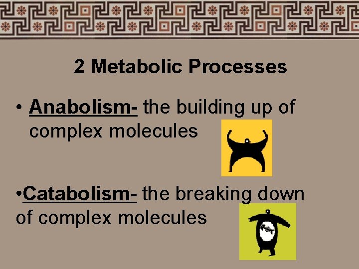 2 Metabolic Processes • Anabolism- the building up of complex molecules • Catabolism- the