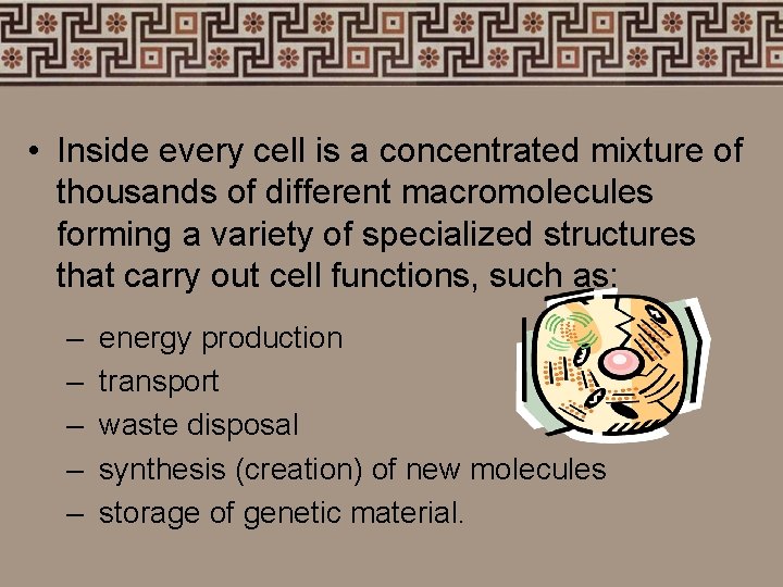  • Inside every cell is a concentrated mixture of thousands of different macromolecules