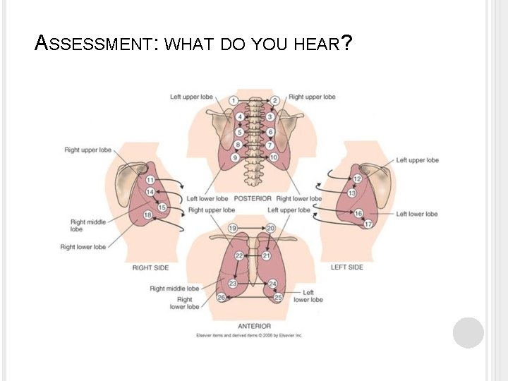 ASSESSMENT: WHAT DO YOU HEAR? 