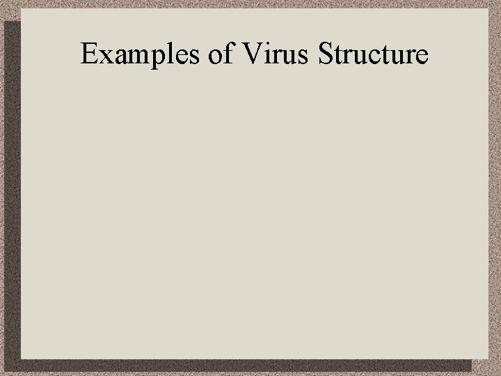 Examples of Virus Structure 