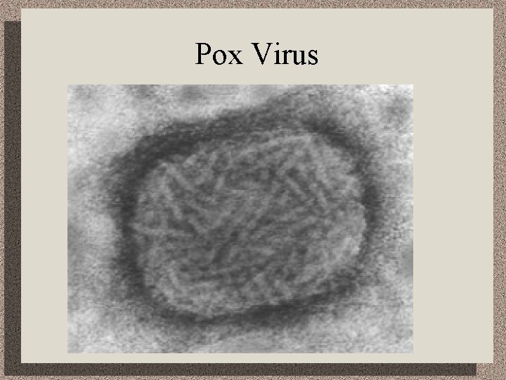 Pox Virus 