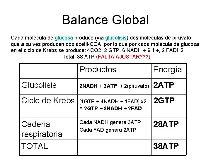 Balance Global Cada molécula de glucosa produce (vía glucólisis) dos moléculas de piruvato, que