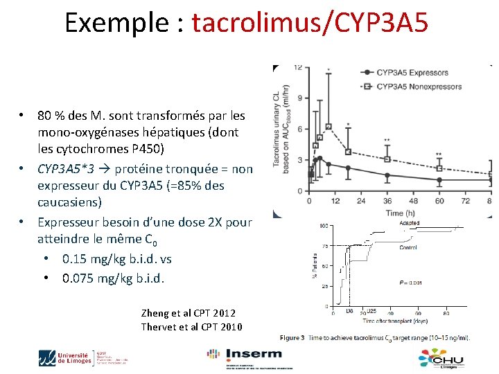 Exemple : tacrolimus/CYP 3 A 5 • 80 % des M. sont transformés par