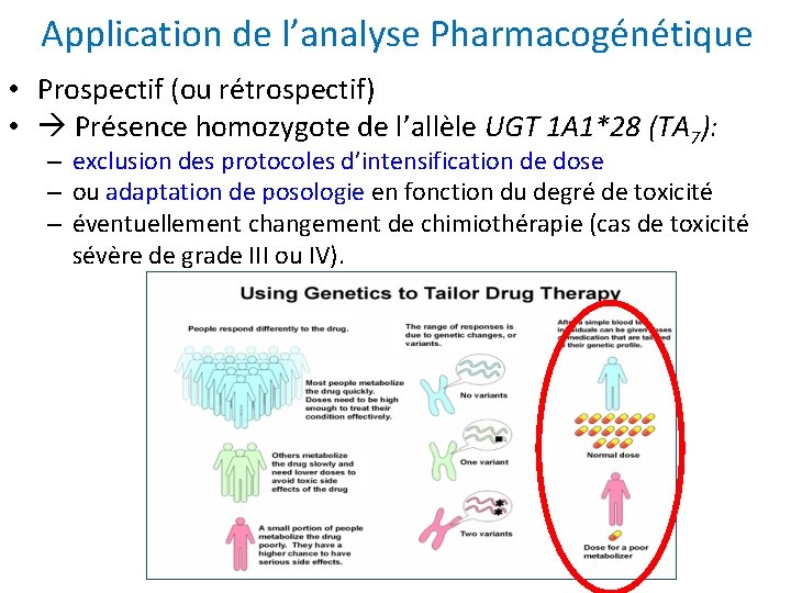 Application de l’analyse Pharmacogénétique • Prospectif (ou rétrospectif) • Présence homozygote de l’allèle UGT