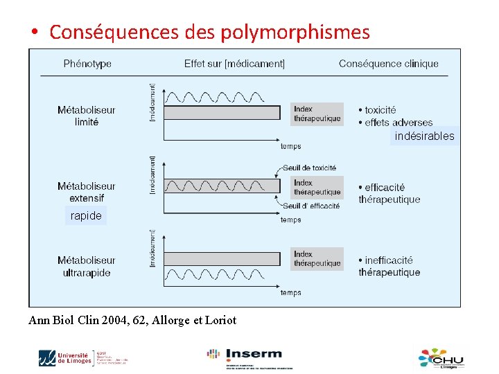  • Conséquences des polymorphismes indésirables rapide Ann Biol Clin 2004, 62, Allorge et