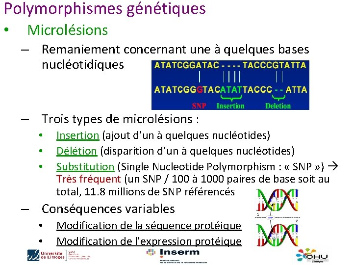 Polymorphismes génétiques • Microlésions – Remaniement concernant une à quelques bases nucléotidiques – Trois