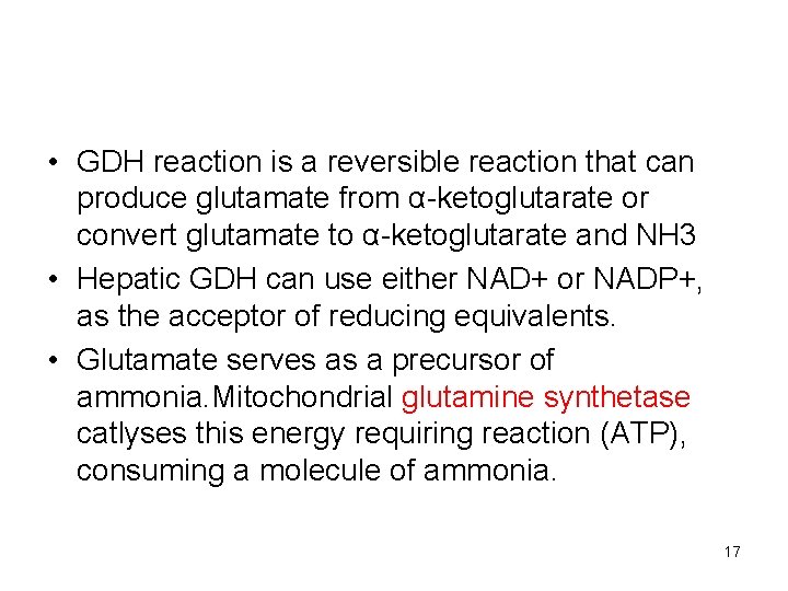  • GDH reaction is a reversible reaction that can produce glutamate from α-ketoglutarate