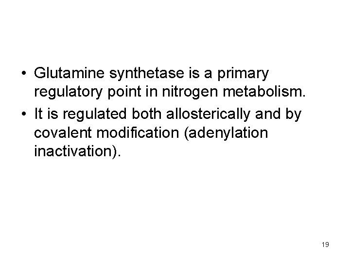  • Glutamine synthetase is a primary regulatory point in nitrogen metabolism. • It