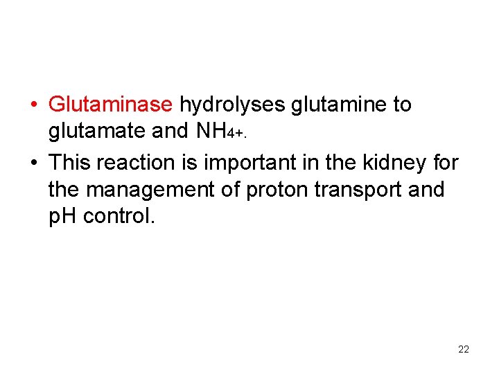  • Glutaminase hydrolyses glutamine to glutamate and NH 4+. • This reaction is