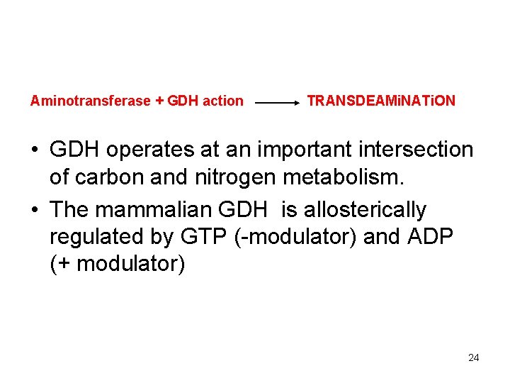 Aminotransferase + GDH action TRANSDEAMi. NATi. ON • GDH operates at an important intersection