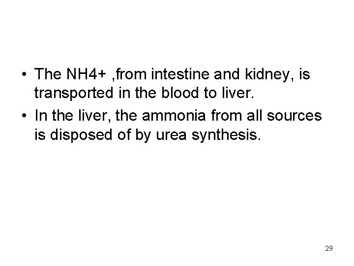  • The NH 4+ , from intestine and kidney, is transported in the