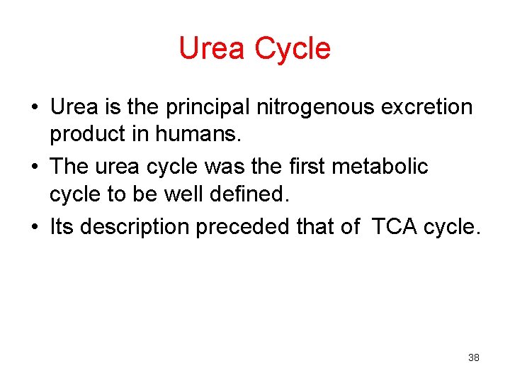 Urea Cycle • Urea is the principal nitrogenous excretion product in humans. • The