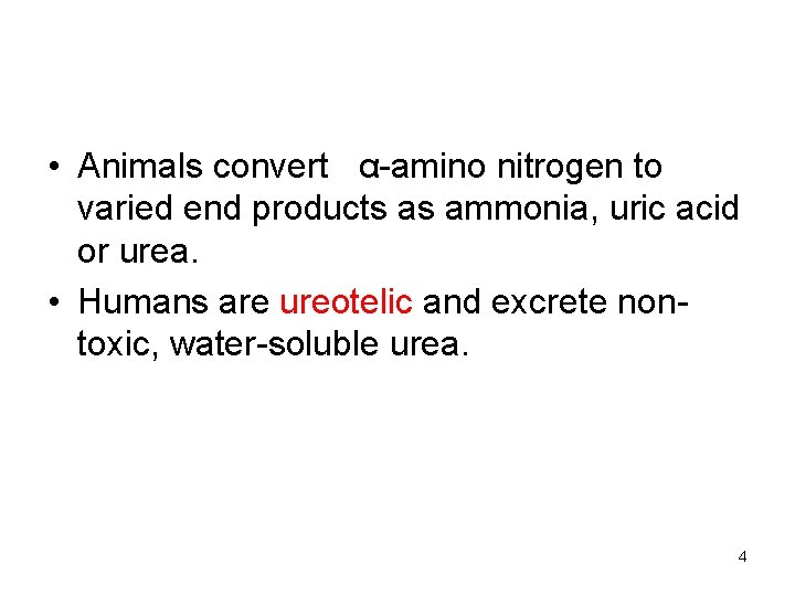  • Animals convert α-amino nitrogen to varied end products as ammonia, uric acid