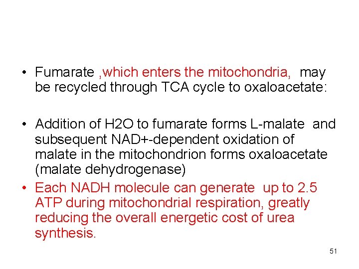  • Fumarate , which enters the mitochondria, may be recycled through TCA cycle