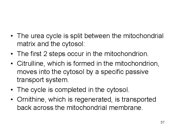  • The urea cycle is split between the mitochondrial matrix and the cytosol: