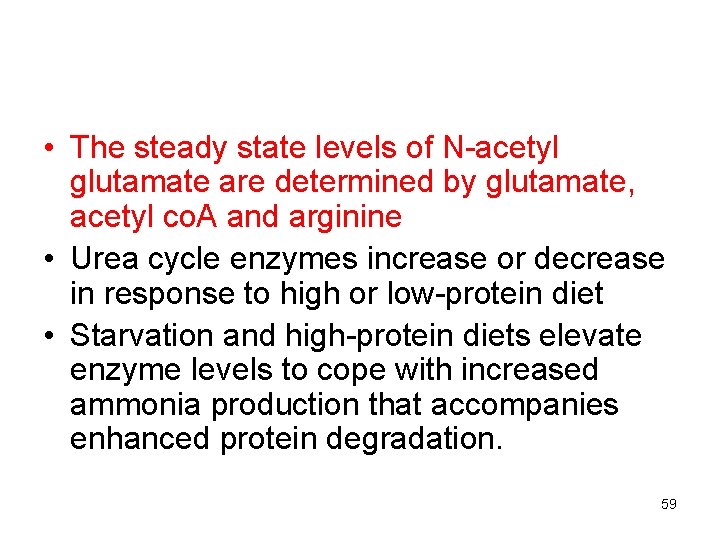  • The steady state levels of N-acetyl glutamate are determined by glutamate, acetyl