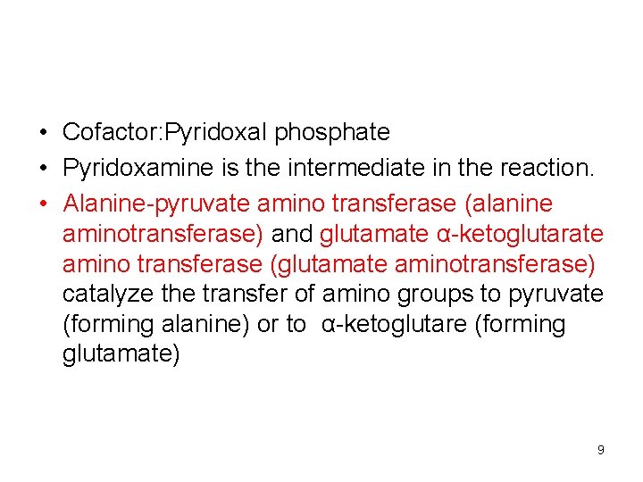  • Cofactor: Pyridoxal phosphate • Pyridoxamine is the intermediate in the reaction. •