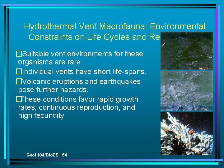 Hydrothermal Vent Macrofauna: Environmental Constraints on Life Cycles and Reproduction �Suitable vent environments for