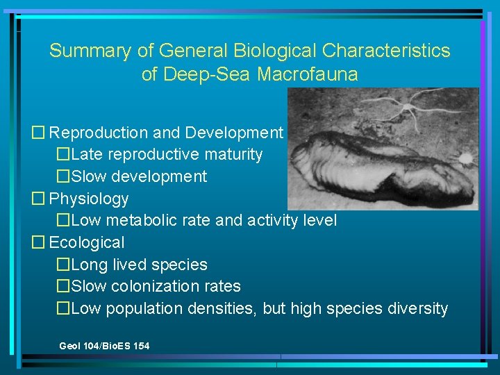 Summary of General Biological Characteristics of Deep-Sea Macrofauna � Reproduction and Development �Late reproductive