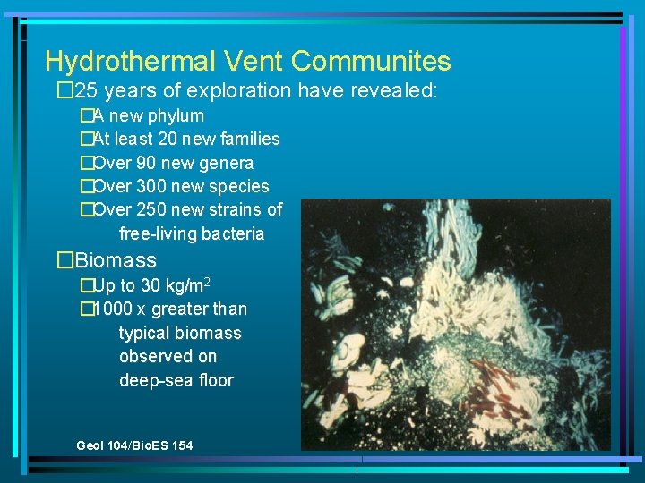 Hydrothermal Vent Communites � 25 years of exploration have revealed: �A new phylum �At