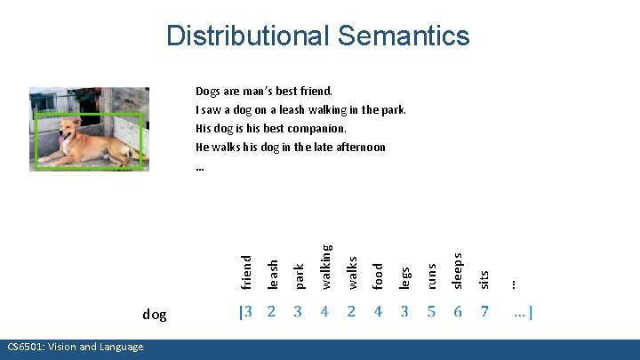 Distributional Semantics Dogs are man’s best friend. I saw a dog on a leash